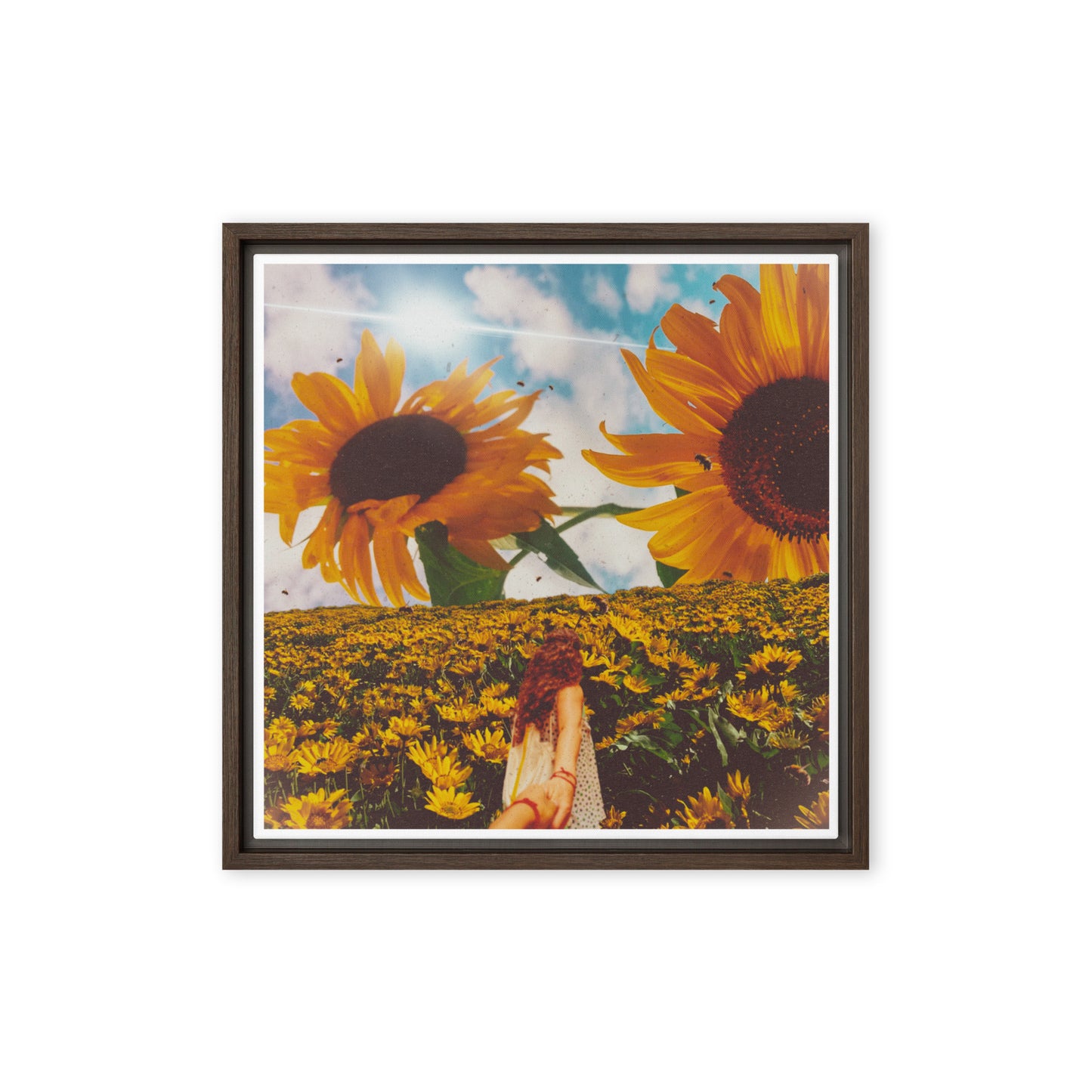 Sol Canvas Photo